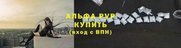 mdpv Богородицк